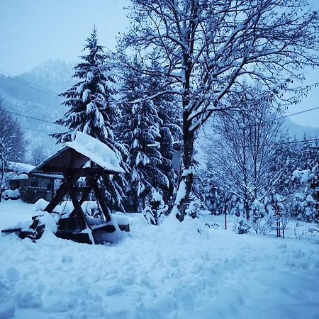 Cabana Valea Rea, Boga Boga  Esterno foto