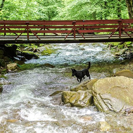 Cabana Valea Rea, Boga Boga  Esterno foto