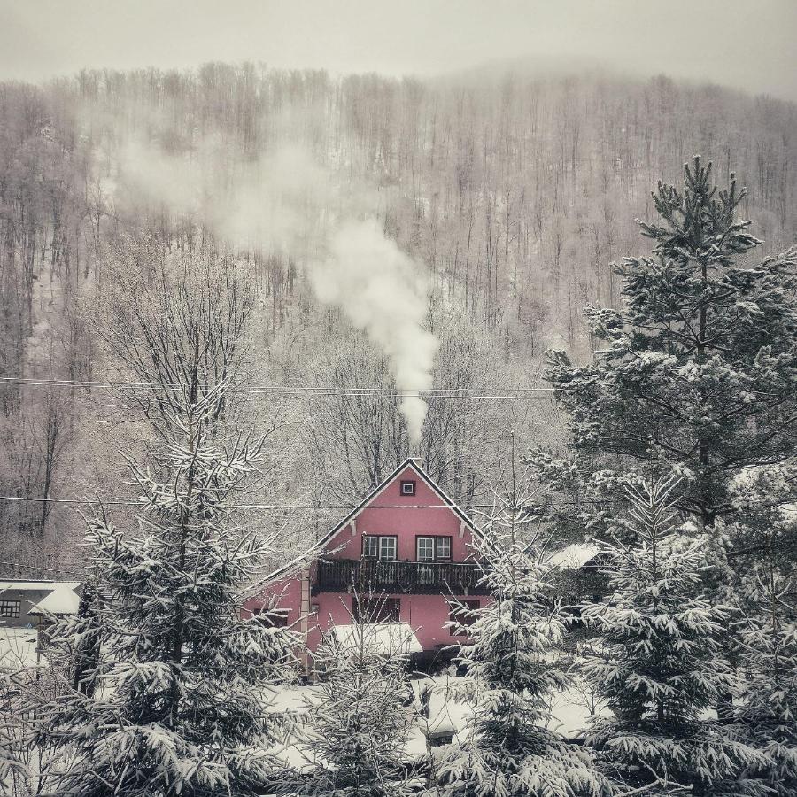 Cabana Valea Rea, Boga Boga  Esterno foto