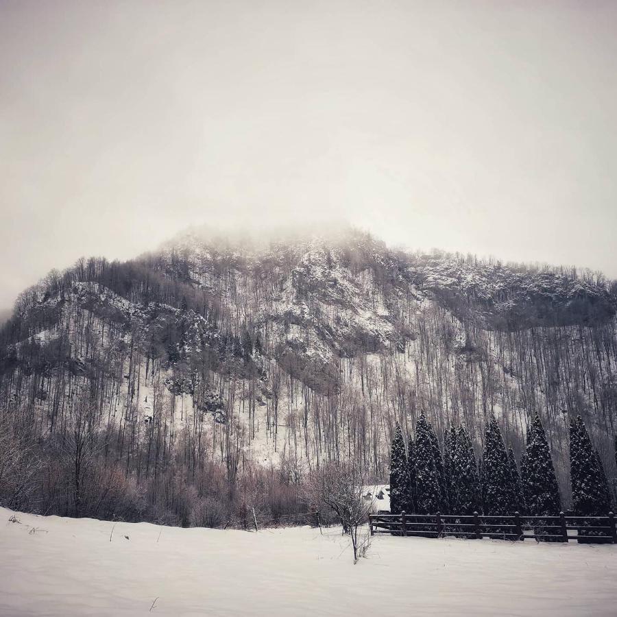 Cabana Valea Rea, Boga Boga  Esterno foto