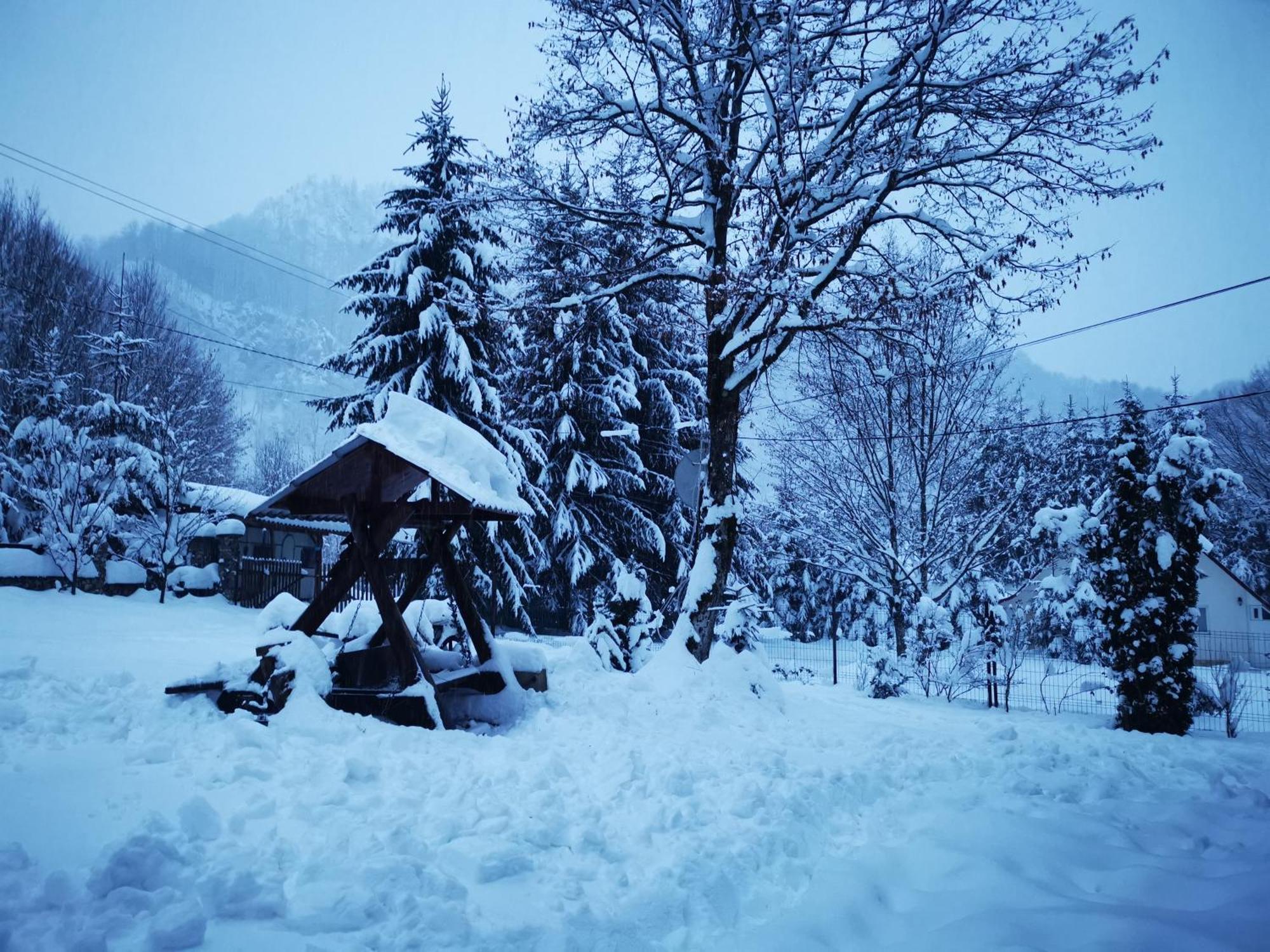 Cabana Valea Rea, Boga Boga  Esterno foto