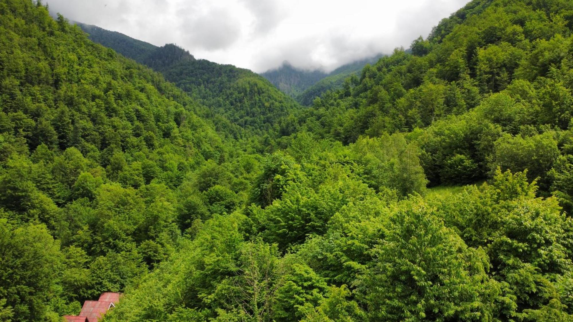 Cabana Valea Rea, Boga Boga  Esterno foto