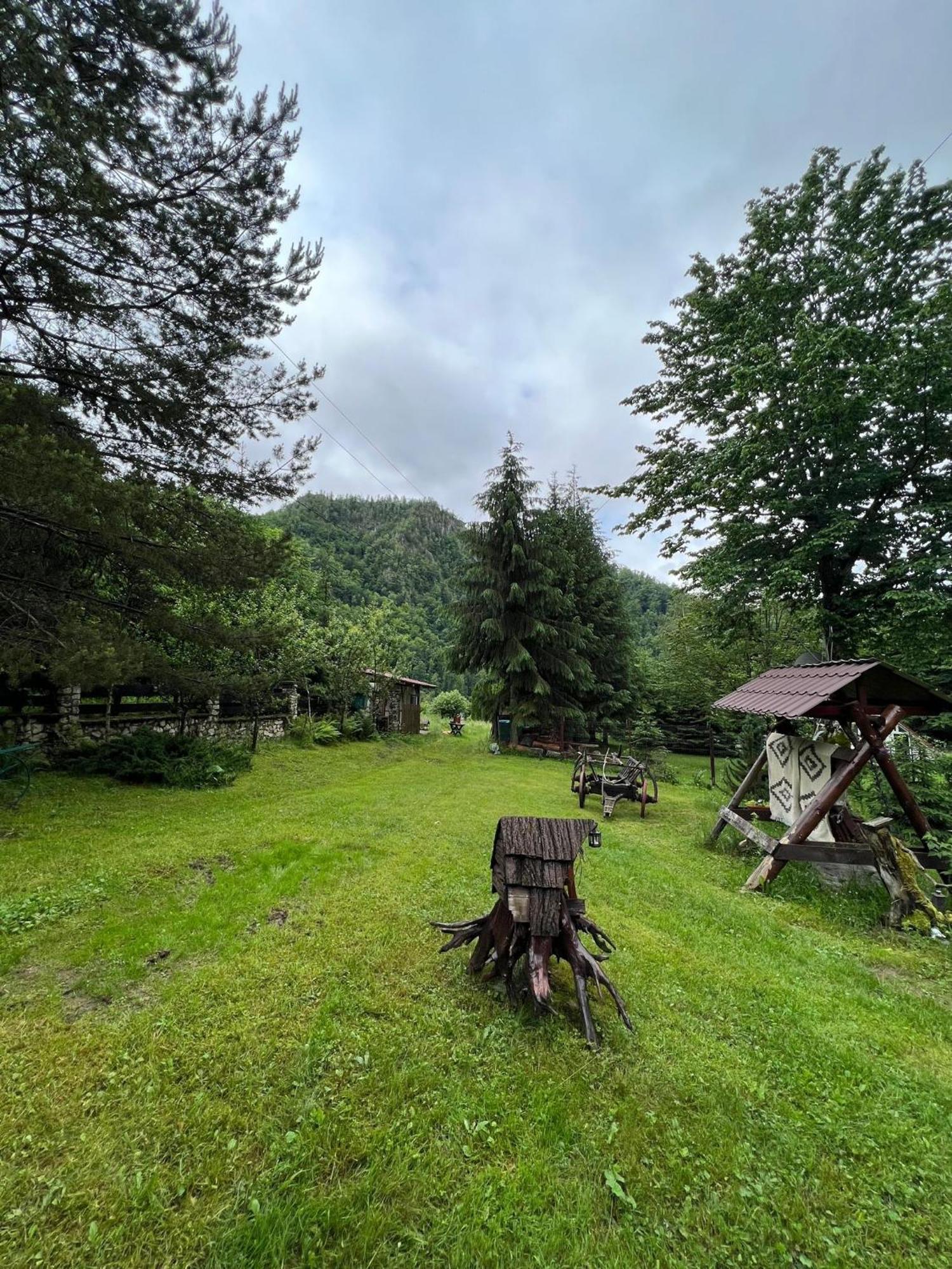 Cabana Valea Rea, Boga Boga  Esterno foto